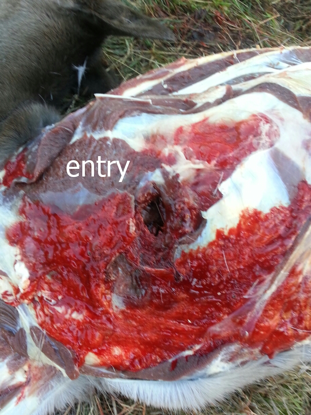 Name:  1499668019558.jpg
Views: 528
Size:  437.1 KB