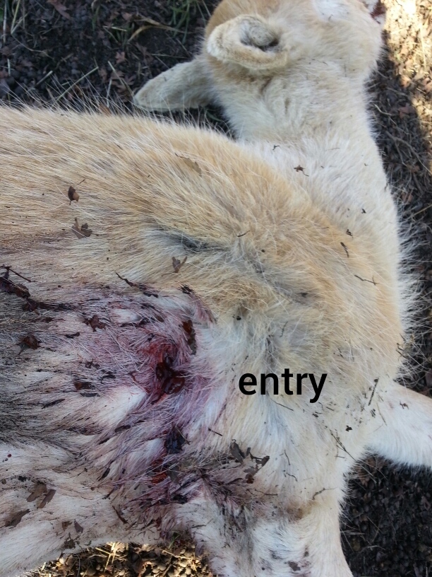 Name:  1501288533479.jpg
Views: 520
Size:  471.0 KB
