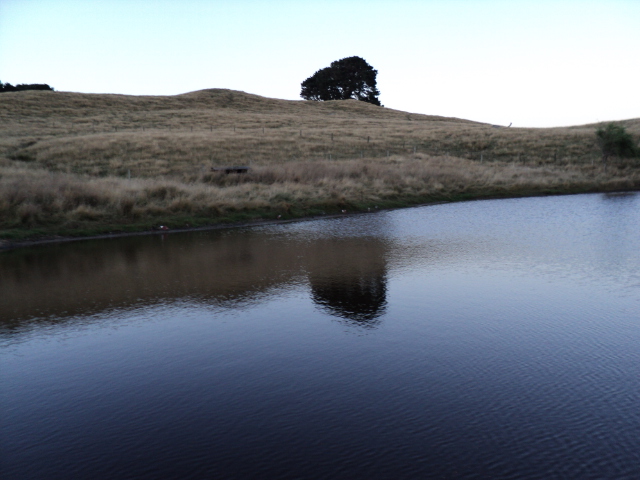 Name:  picture 1129.jpg
Views: 224
Size:  161.5 KB