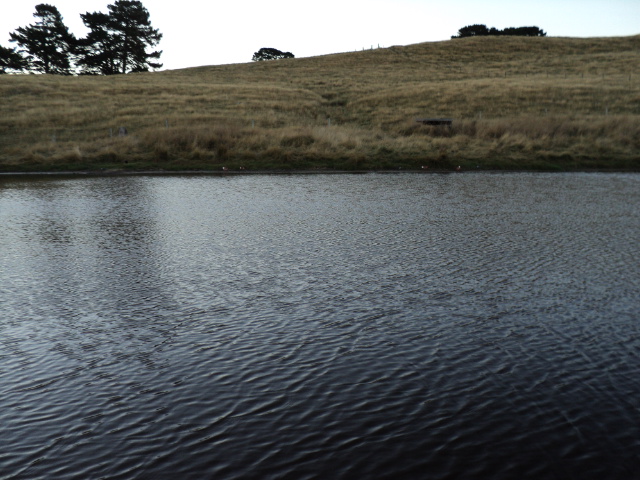 Name:  picture 1130.jpg
Views: 213
Size:  164.9 KB