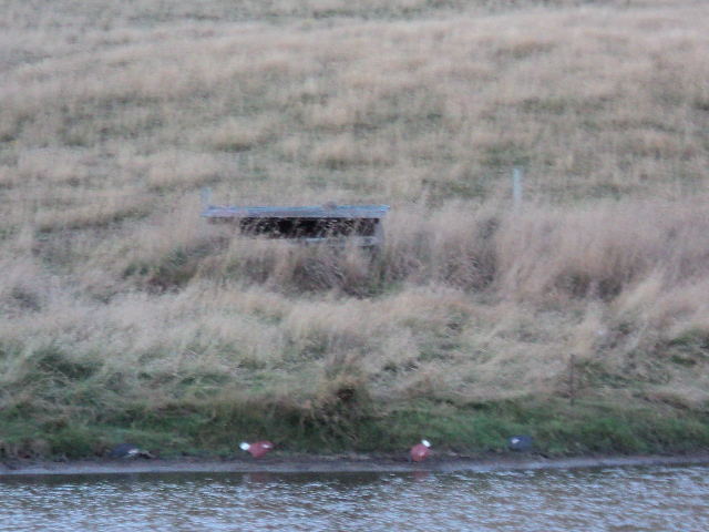 Name:  picture 1131.jpg
Views: 229
Size:  164.4 KB