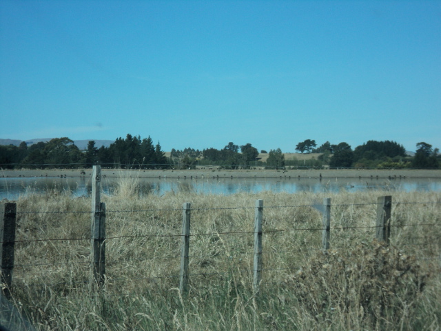 Name:  picture 1180.jpg
Views: 206
Size:  163.2 KB