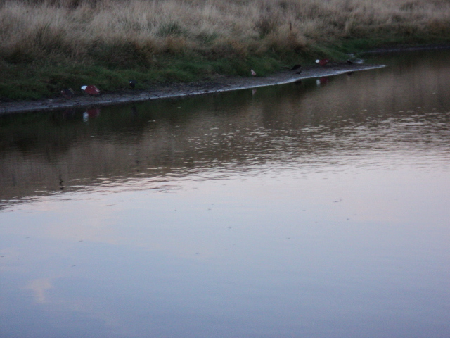 Name:  picture 1183.jpg
Views: 205
Size:  164.2 KB