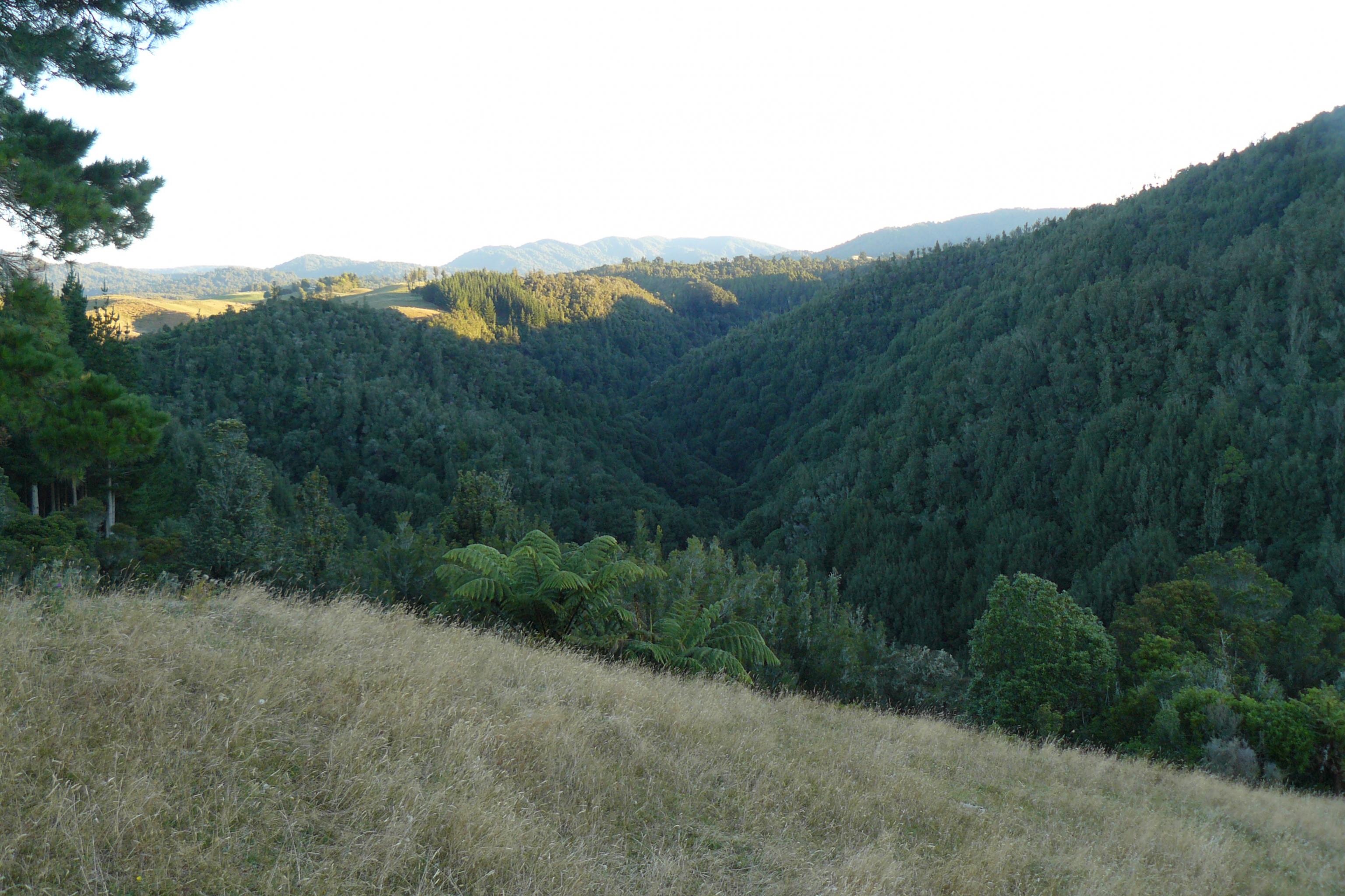 Name:  P1020012.jpg
Views: 518
Size:  713.0 KB