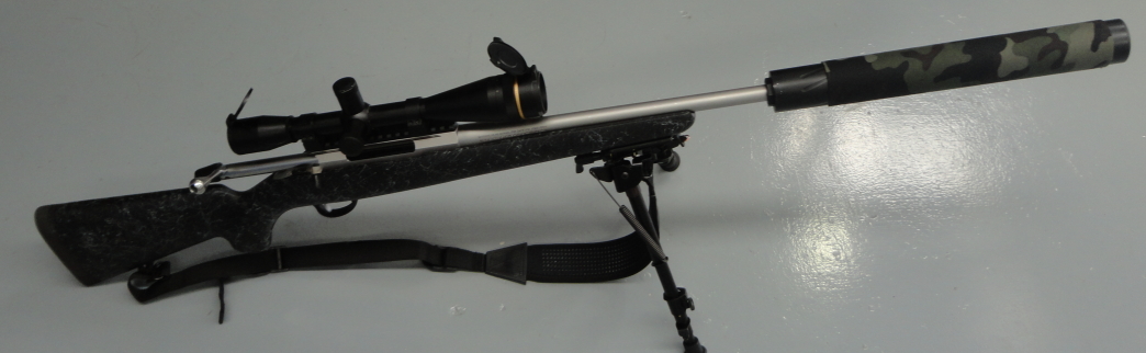 Name:  300 Win Mag small .JPG
Views: 1282
Size:  245.2 KB