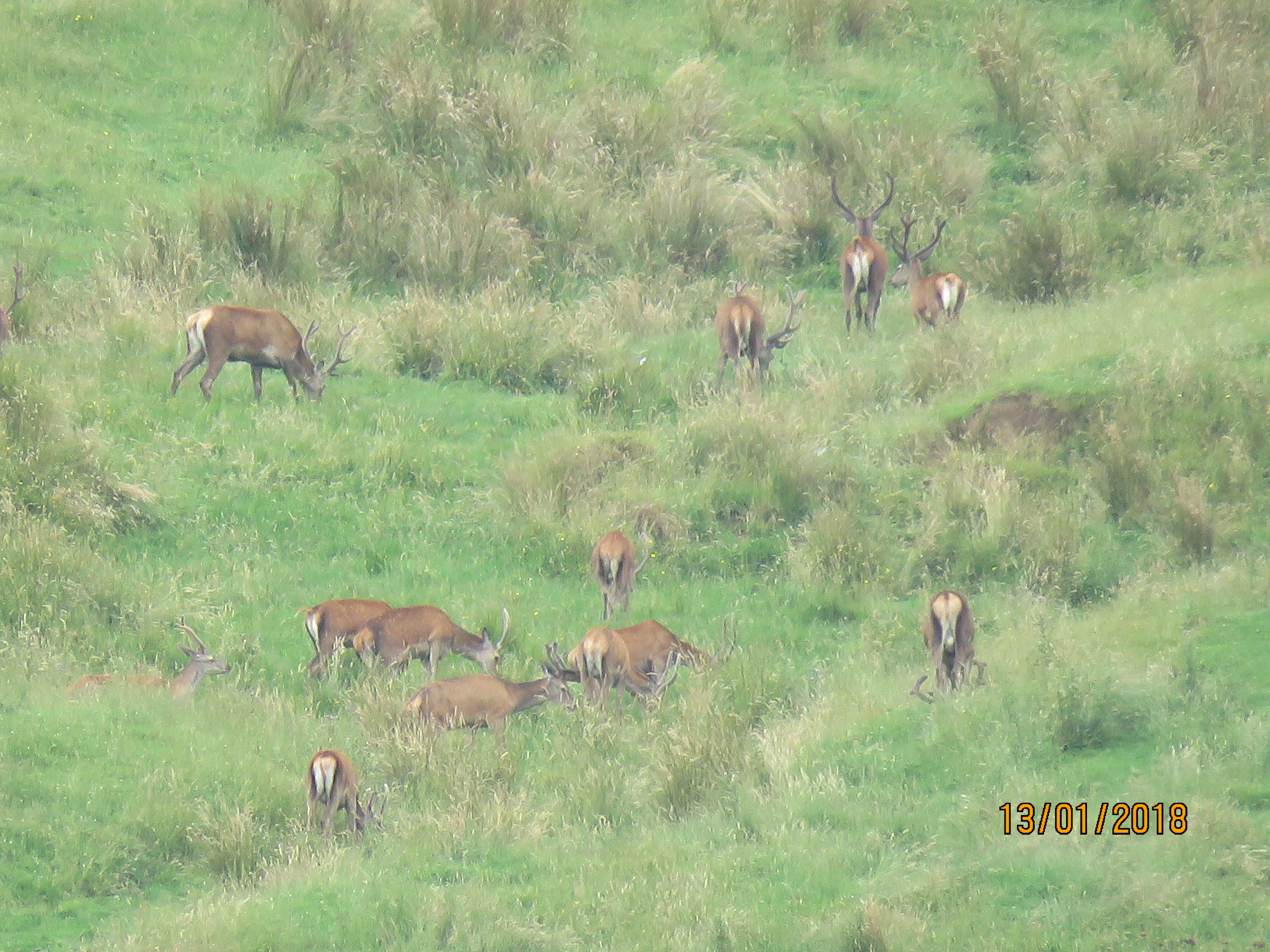 Name:  IMG_0410.JPG
Views: 1210
Size:  4.33 MB