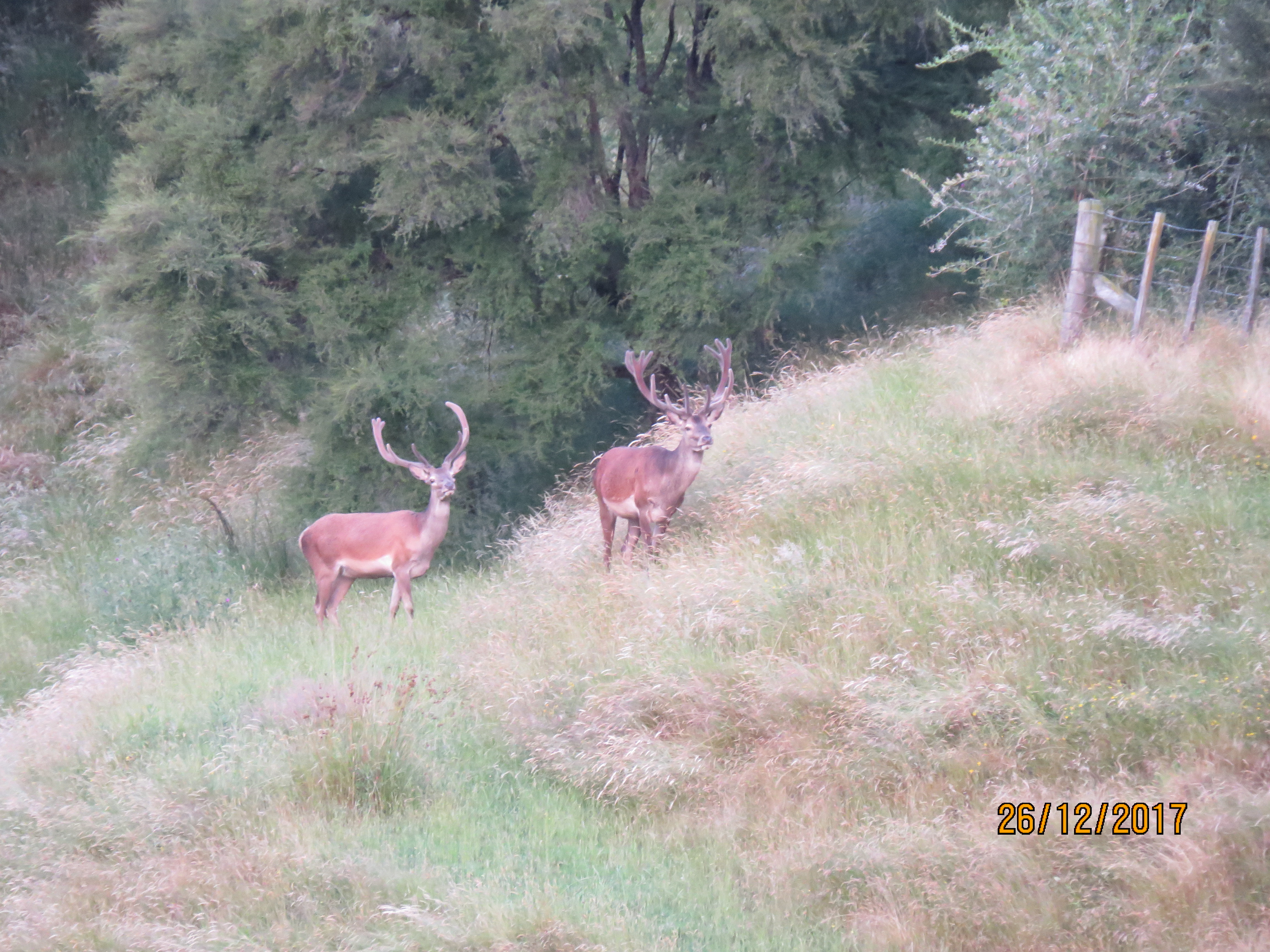 Name:  IMG_0345.JPG
Views: 939
Size:  5.00 MB