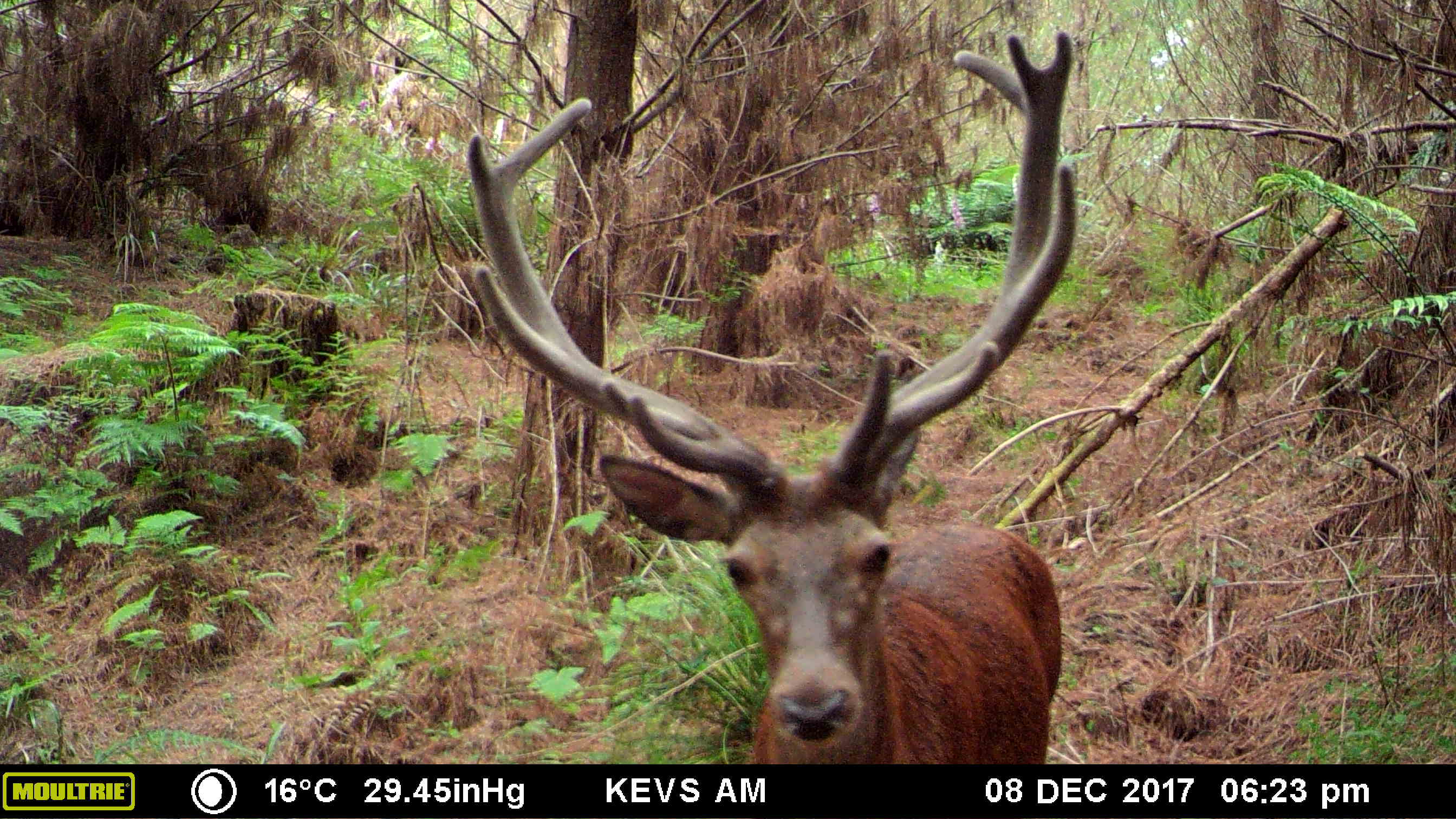 Name:  MFDC1883.JPG
Views: 4528
Size:  425.6 KB