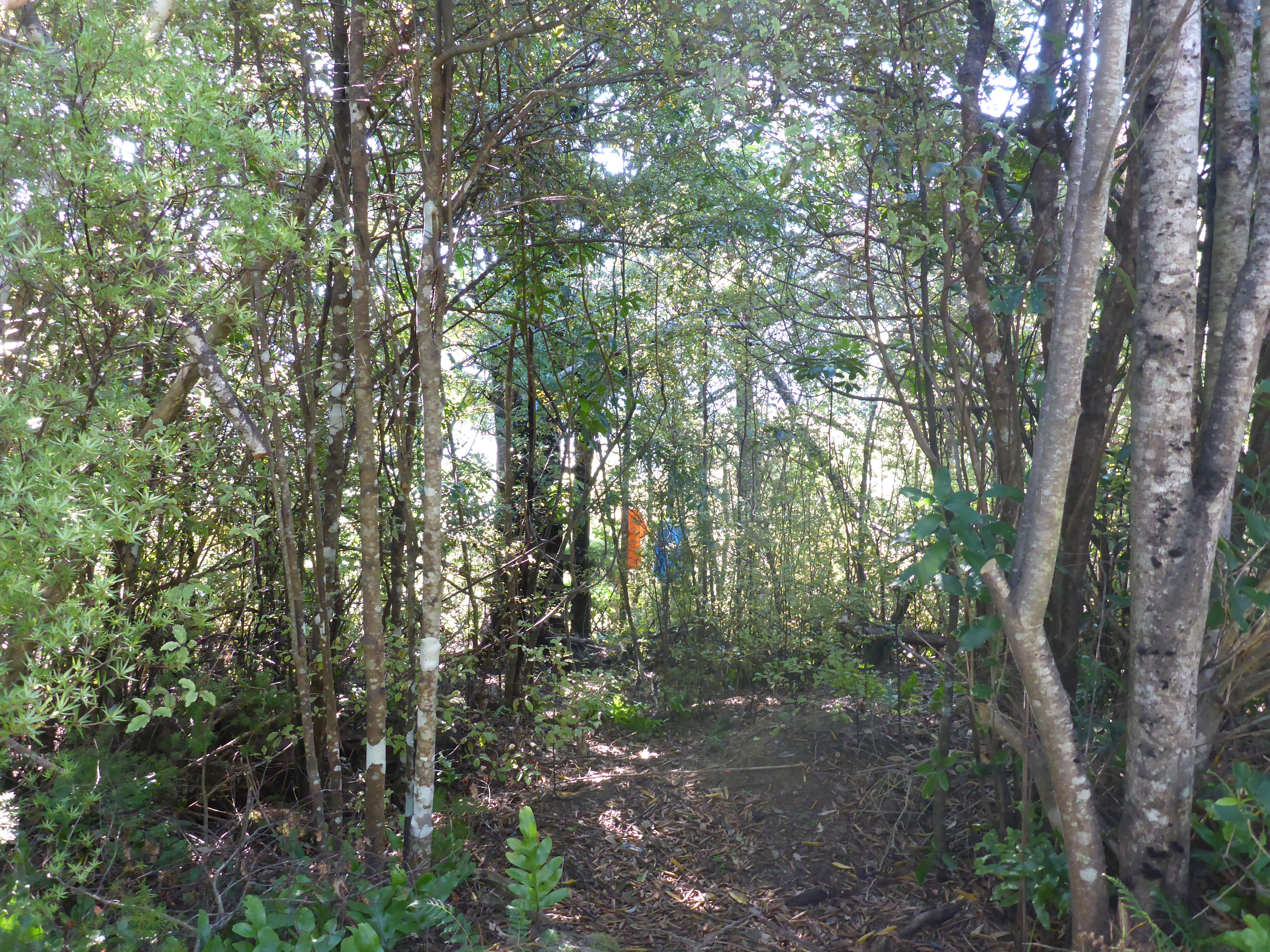 Name:  P1010379.JPG
Views: 443
Size:  6.23 MB
