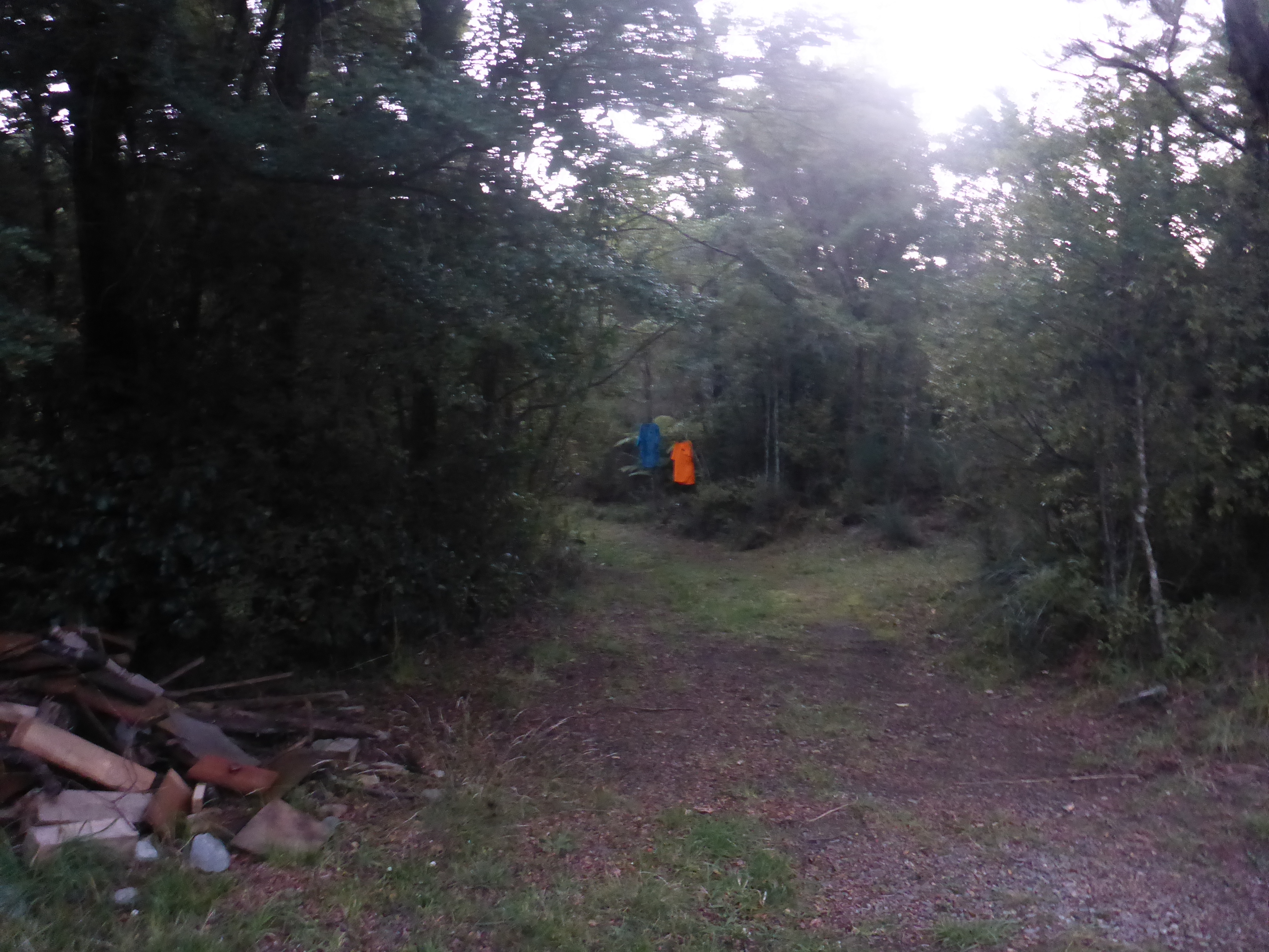Name:  P1010382.JPG
Views: 338
Size:  6.25 MB