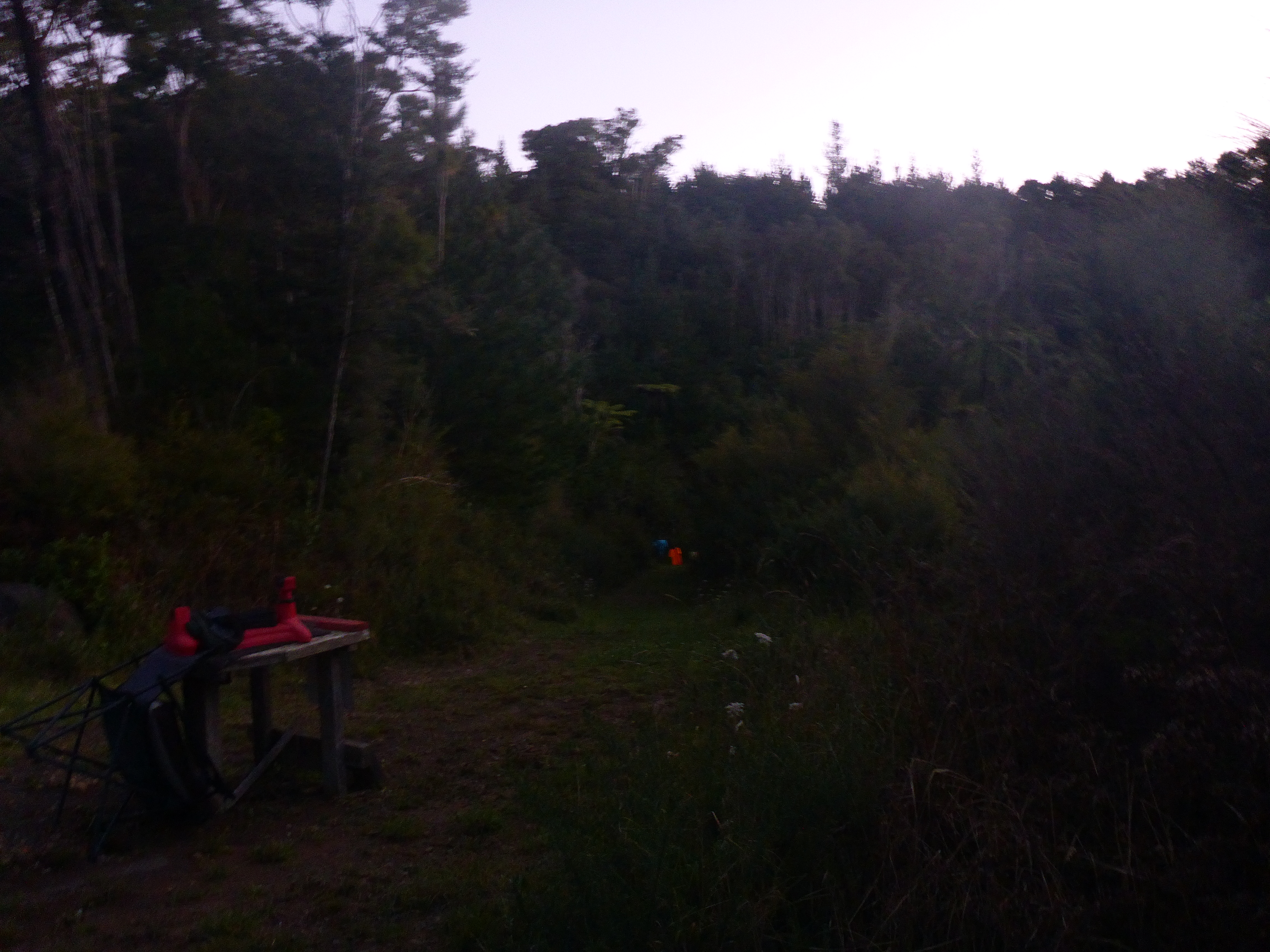 Name:  P1010385.JPG
Views: 291
Size:  5.81 MB