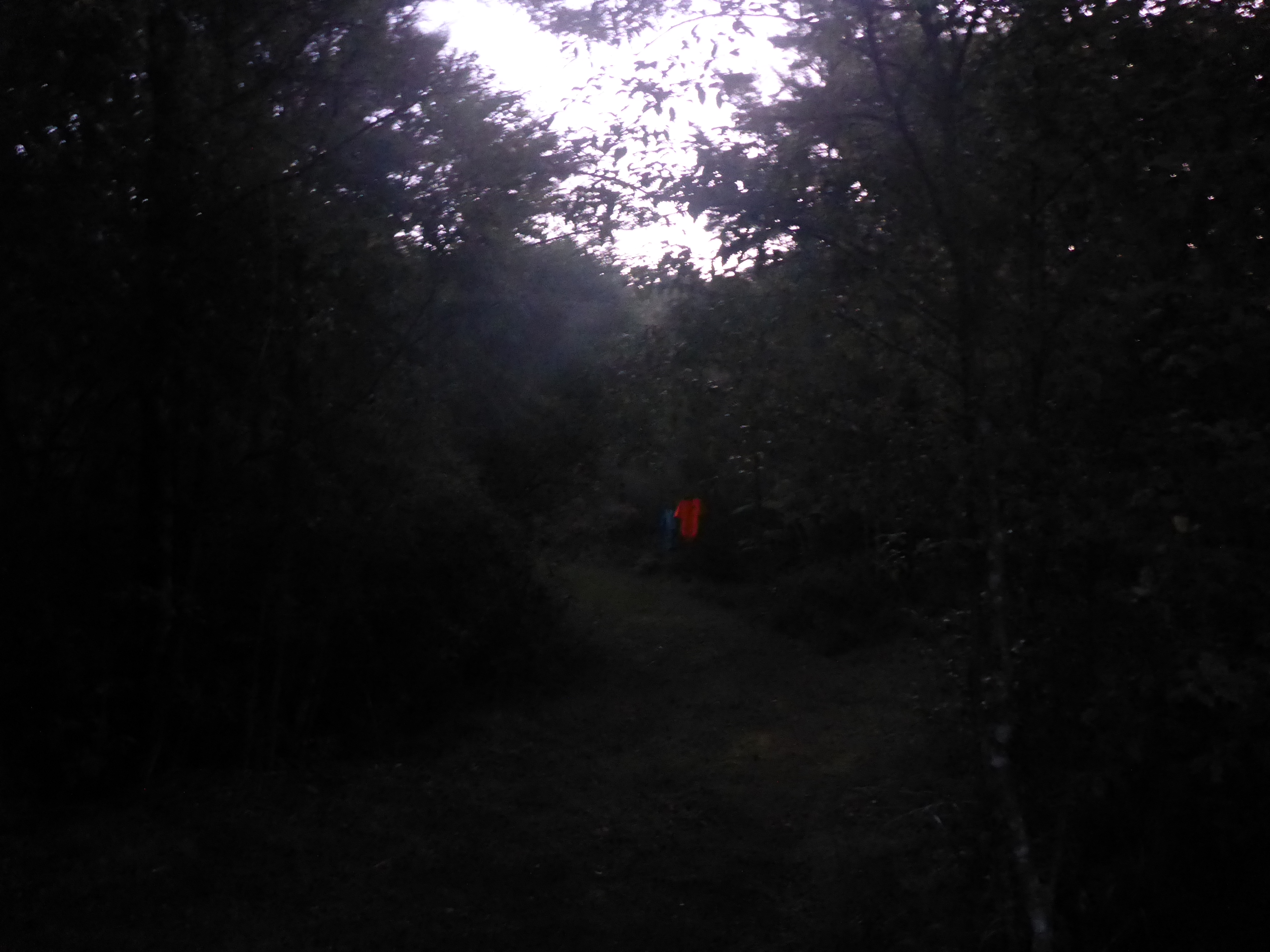Name:  P1010386.JPG
Views: 291
Size:  5.57 MB