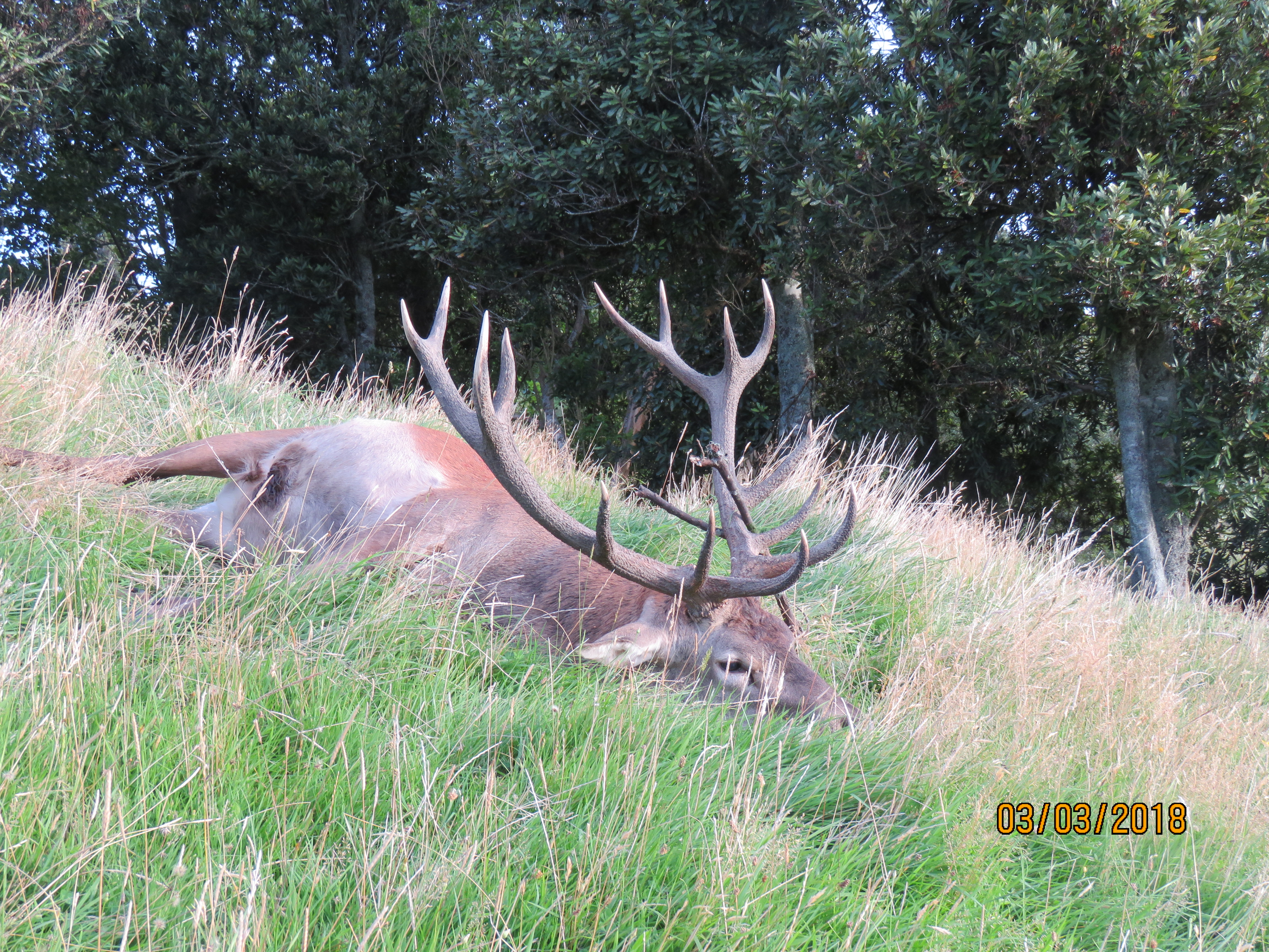 Name:  IMG_0506.JPG
Views: 1016
Size:  6.81 MB