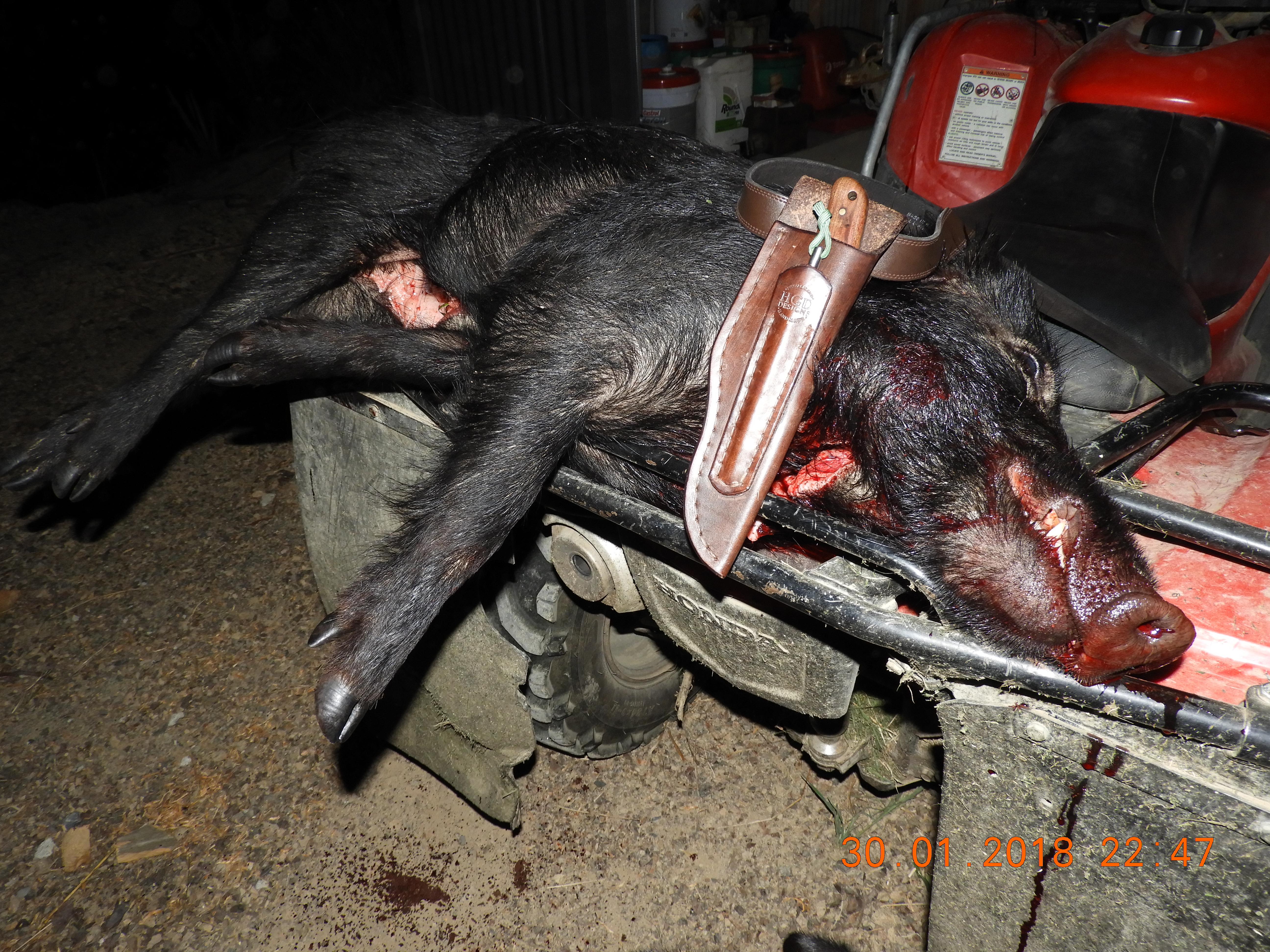 Name:  DSCN0074.JPG
Views: 861
Size:  9.01 MB