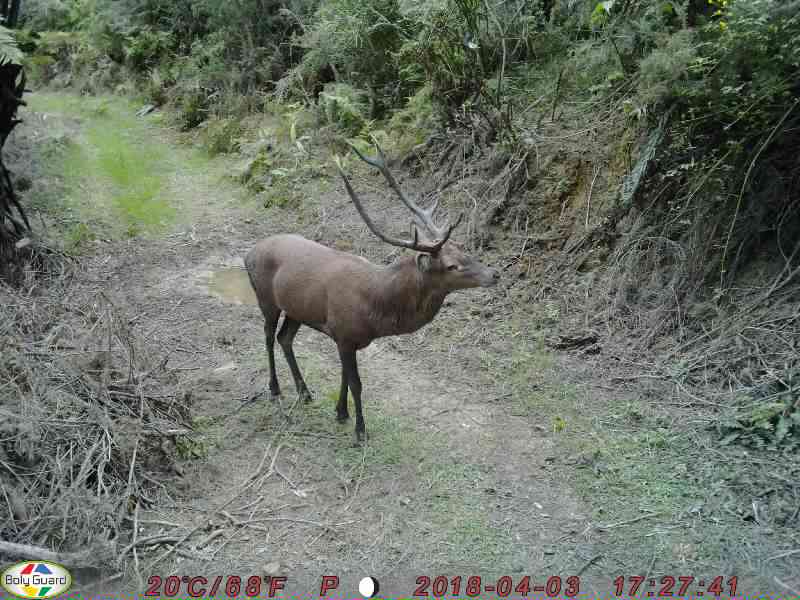 Name:  0021.JPG
Views: 943
Size:  61.9 KB