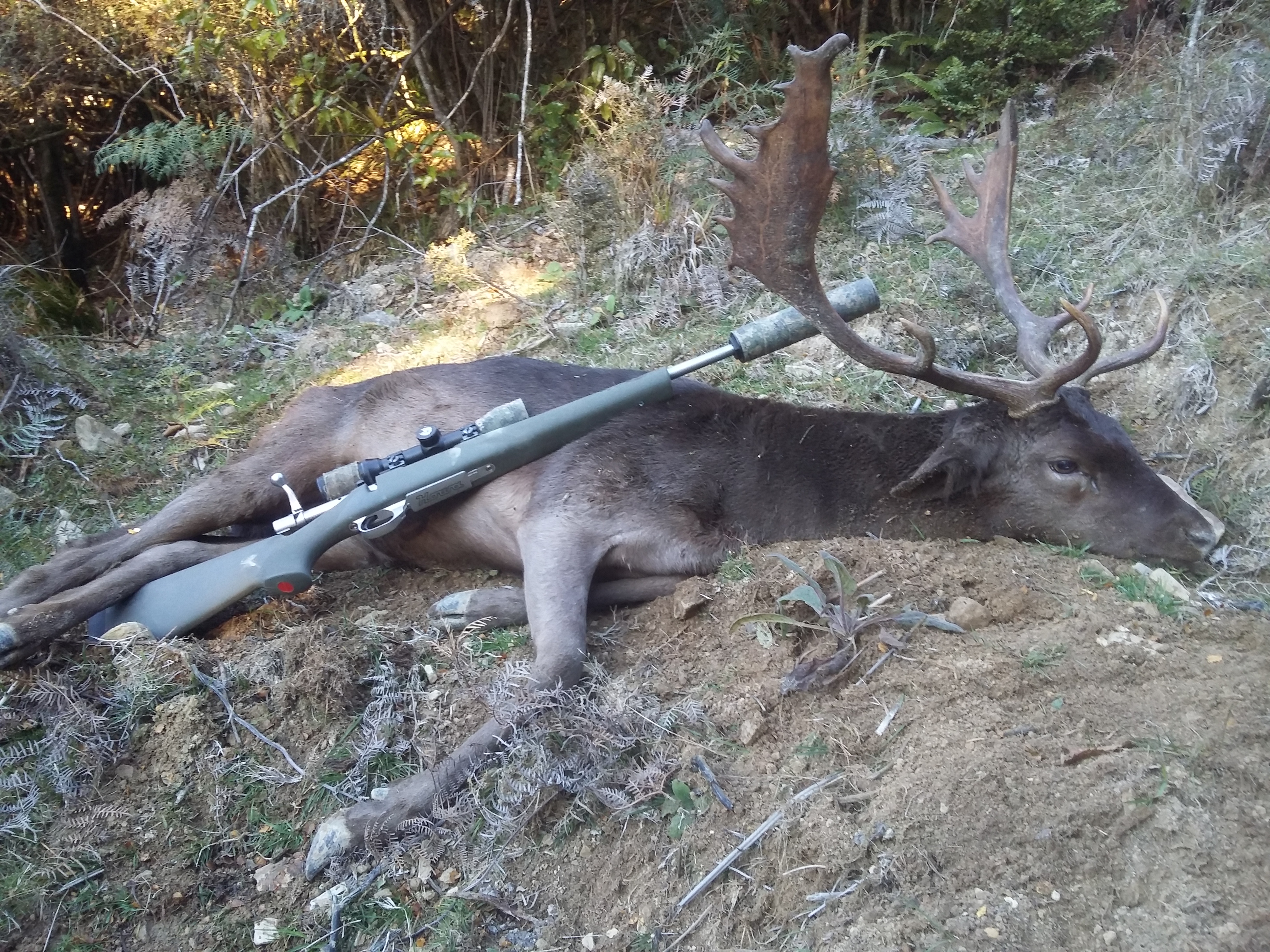Name:  Westwood Buck.jpg
Views: 812
Size:  3.55 MB