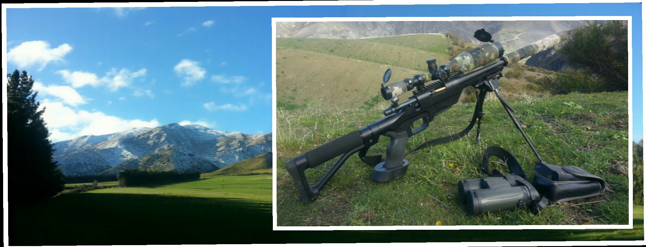Name:  PhotoCollage_-1632778156-2.jpg
Views: 483
Size:  1,005.7 KB