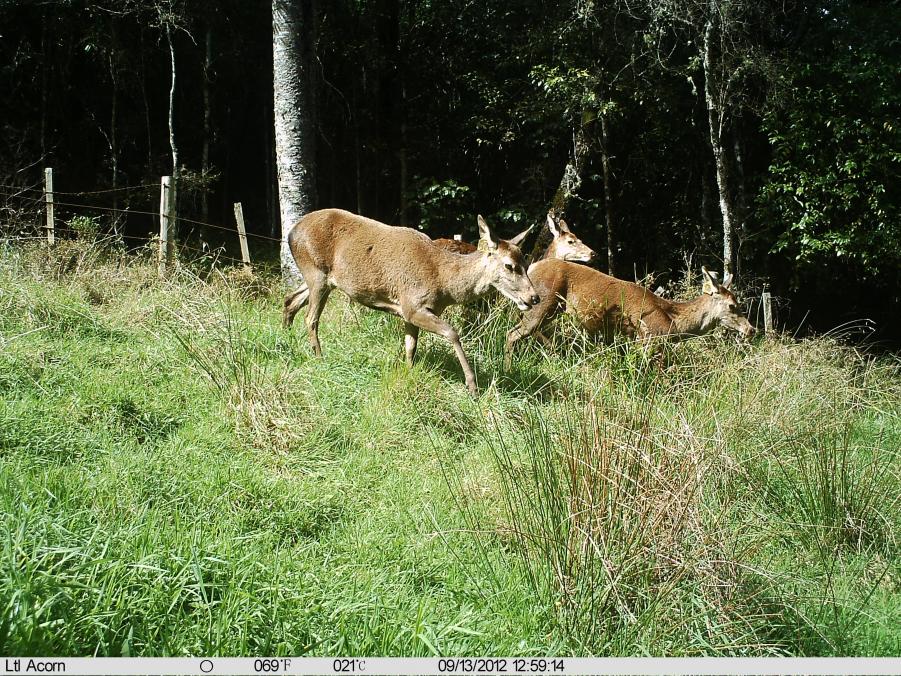 Name:  IMAG0179.jpg
Views: 1167
Size:  209.1 KB