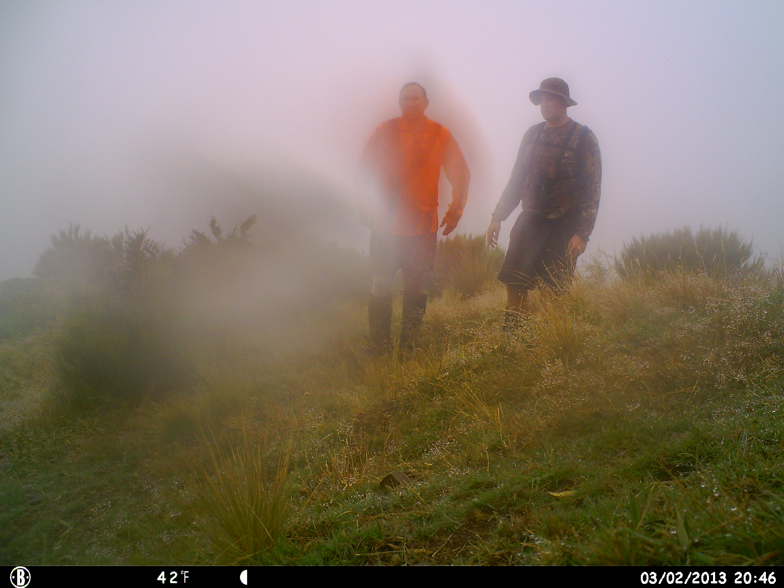 Name:  HUNT0651.JPG
Views: 543
Size:  886.2 KB
