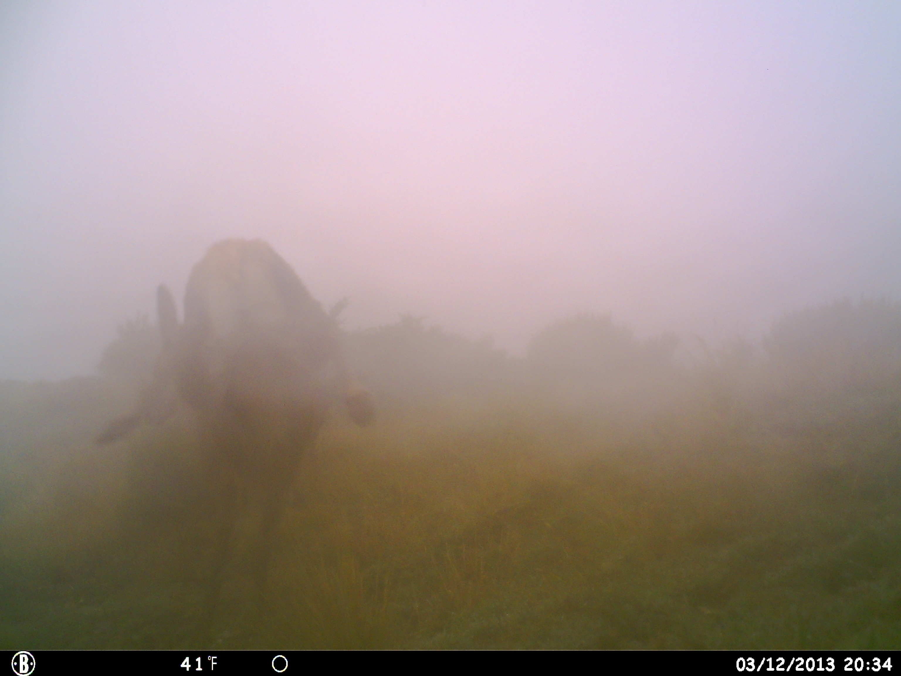 Name:  HUNT0821.JPG
Views: 532
Size:  853.8 KB