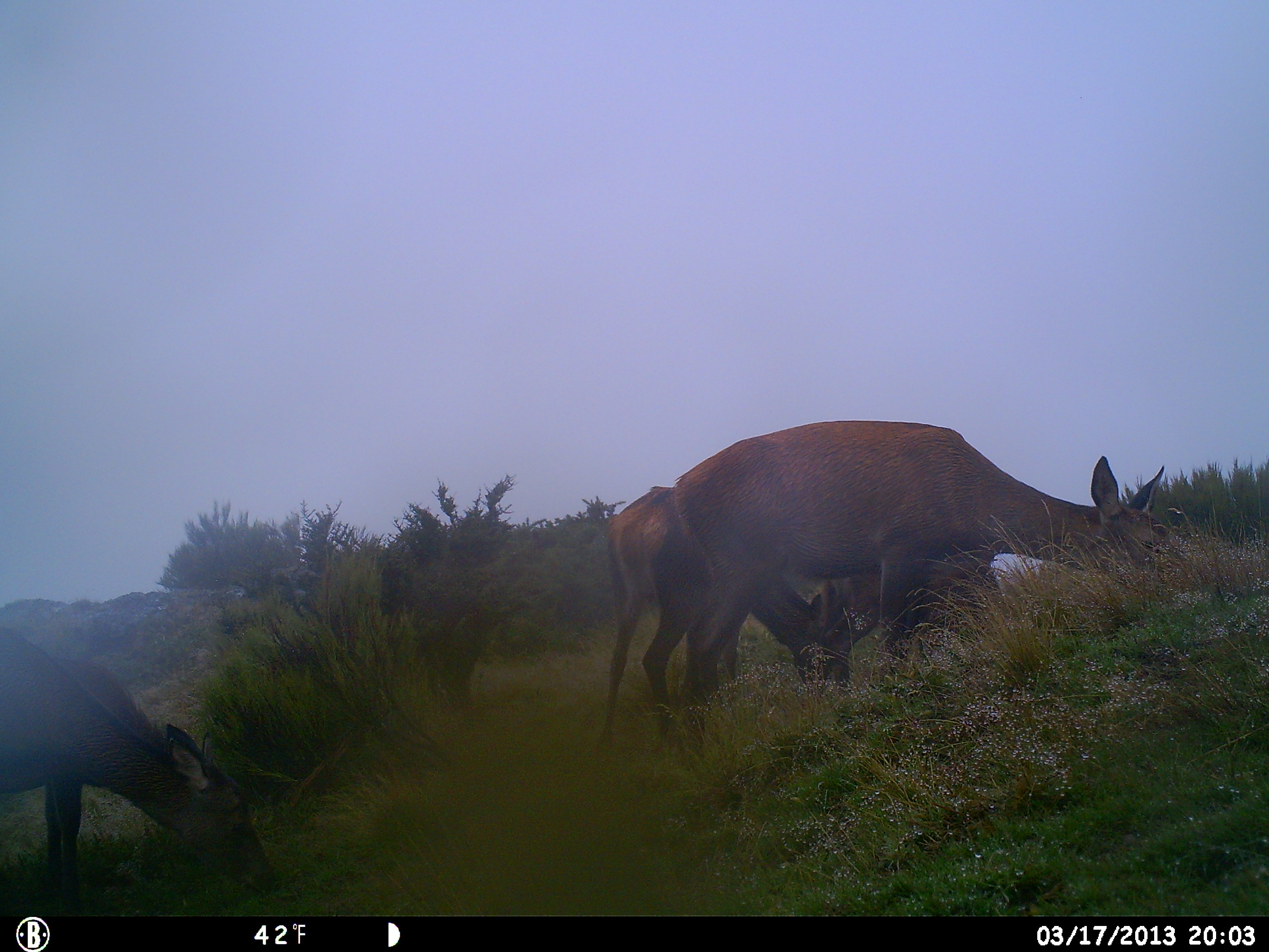 Name:  HUNT0870.JPG
Views: 645
Size:  884.2 KB