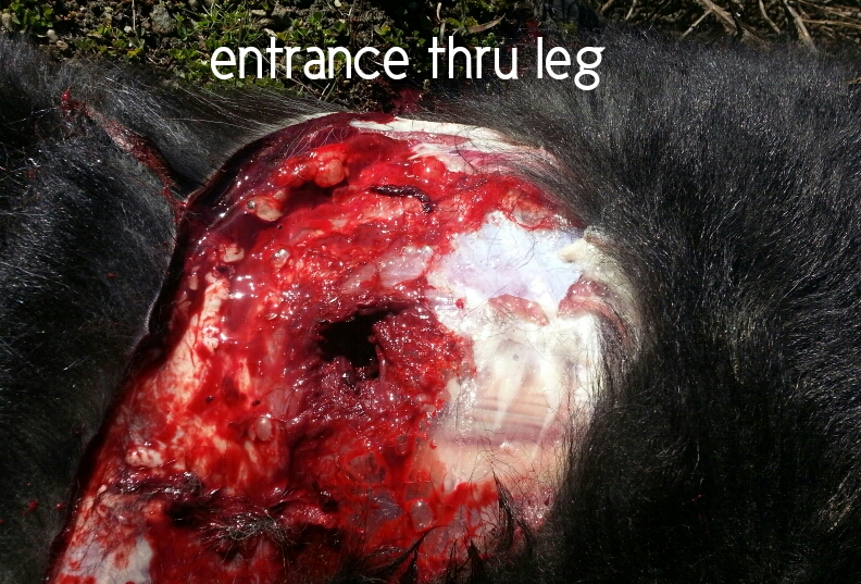 Name:  1531367370382-1.jpg
Views: 491
Size:  456.9 KB