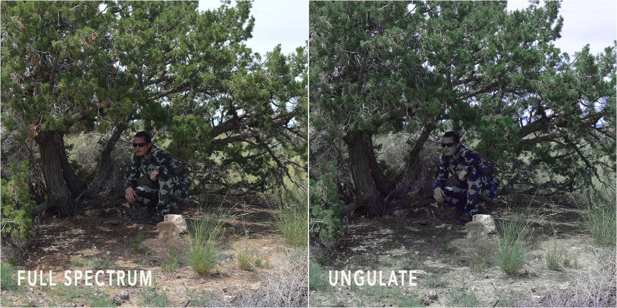 Name:  vias_tree.jpg
Views: 855
Size:  433.4 KB