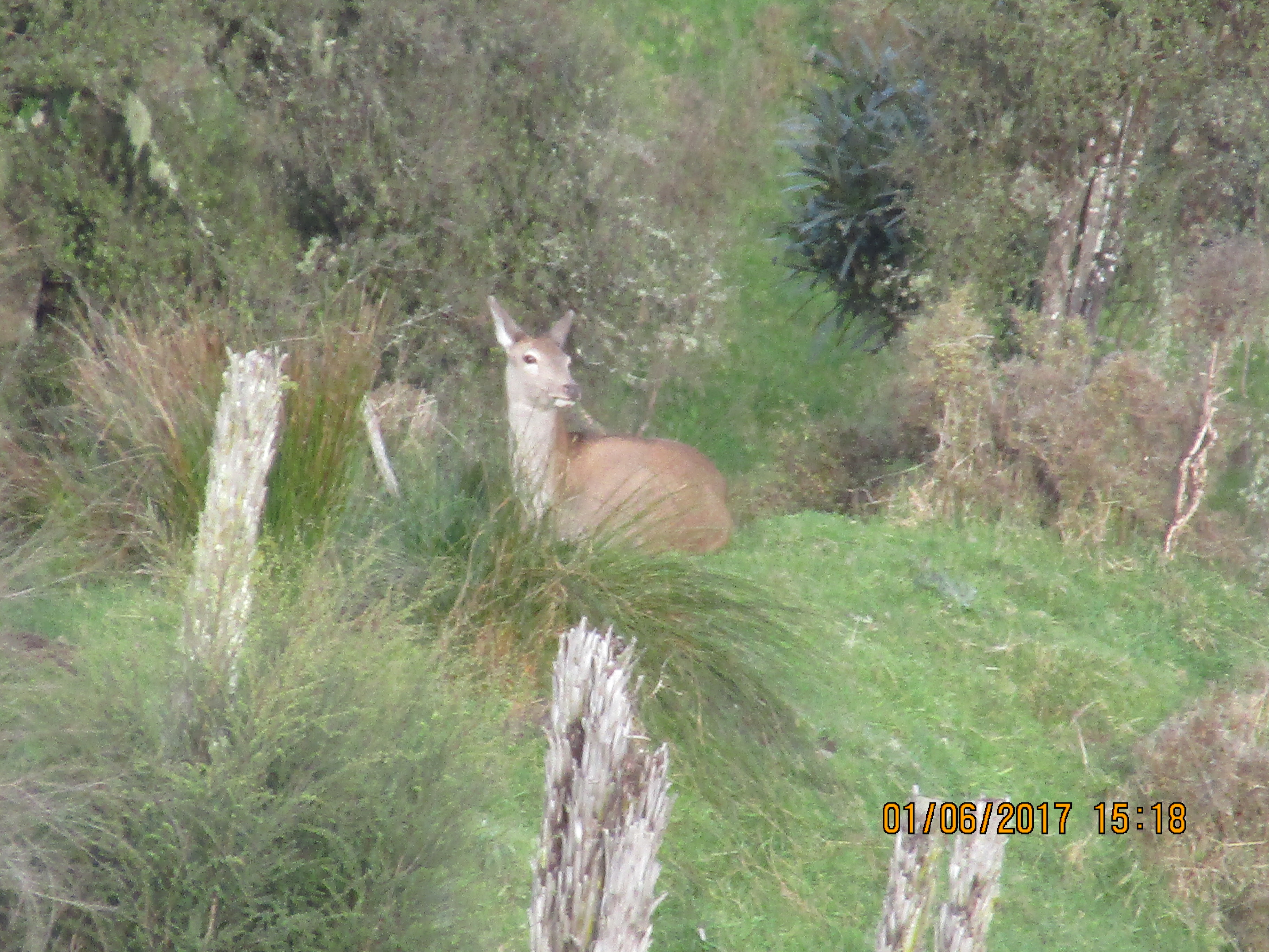 Name:  IMG_0215.JPG
Views: 371
Size:  3.15 MB