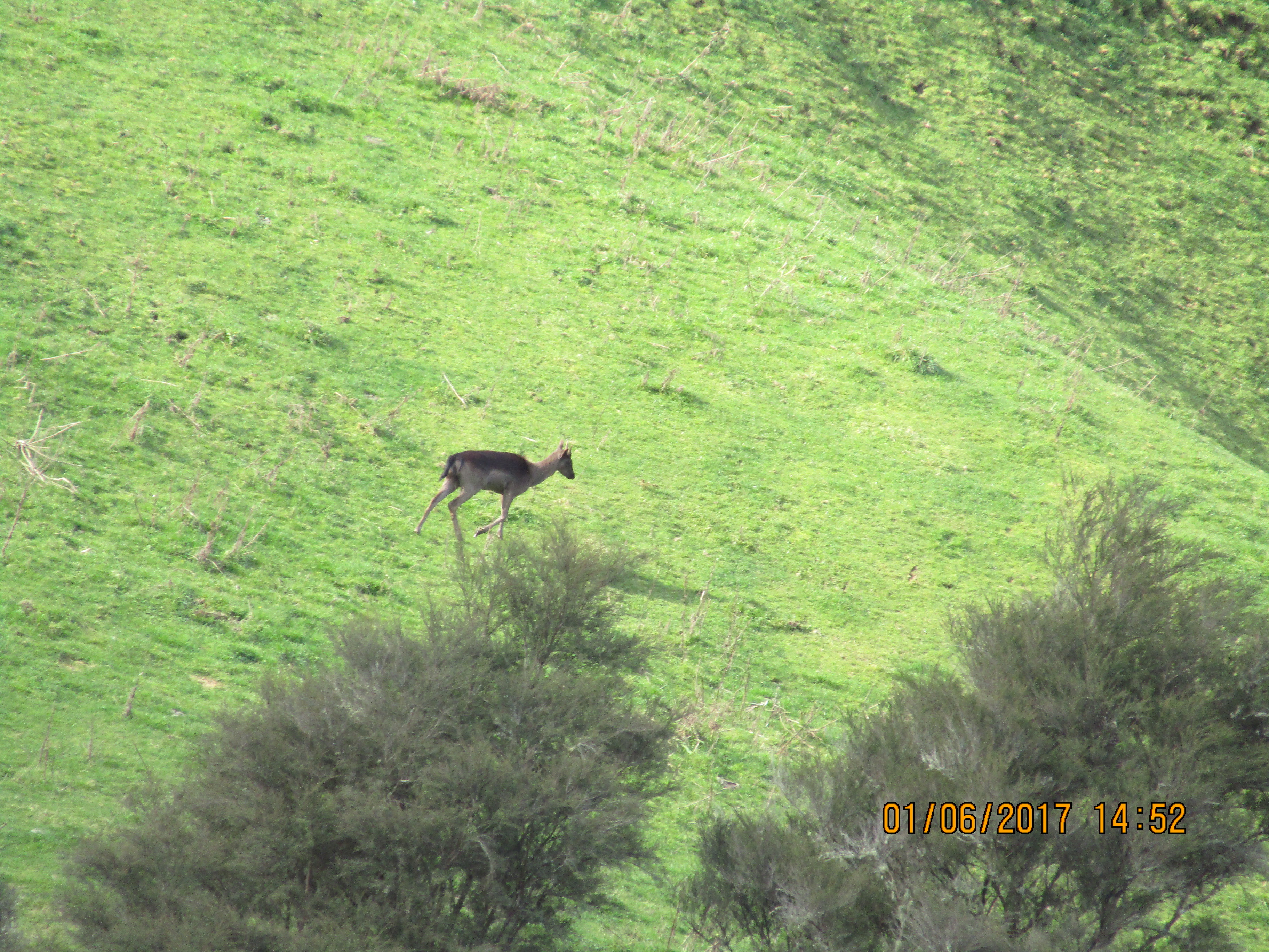 Name:  IMG_0204.JPG
Views: 511
Size:  4.65 MB