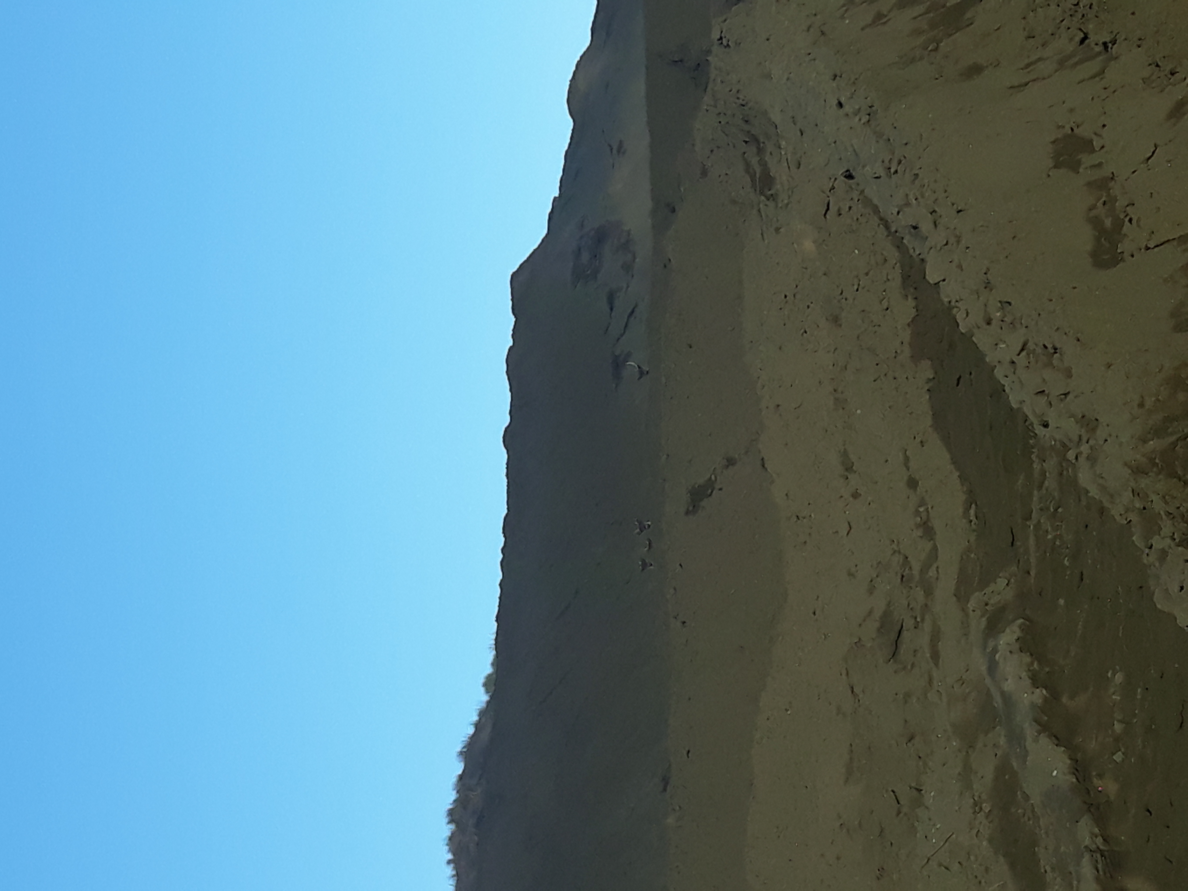 Name:  20180810_084034.jpg
Views: 691
Size:  2.09 MB