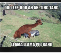 Name:  thumb_000-eee-000-ah-ah-ting-tang-llama-llama-pig-bang-35808339.png
Views: 422
Size:  26.7 KB