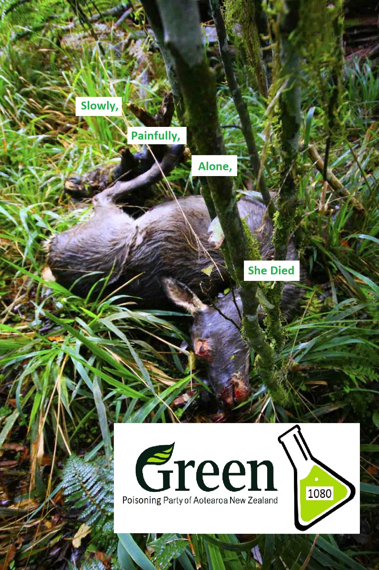 Name:  Poisoning Party.jpg
Views: 405
Size:  471.2 KB