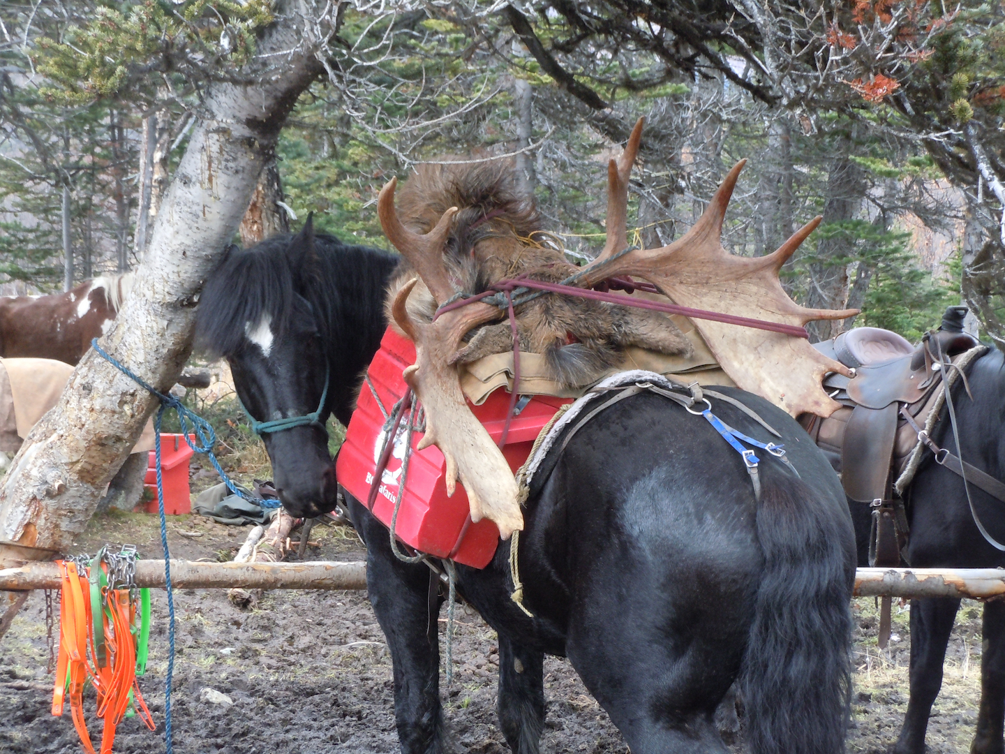 Name:  DSCN0844.jpg
Views: 359
Size:  2.08 MB