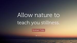 Name:  stillness.jpg
Views: 364
Size:  5.5 KB