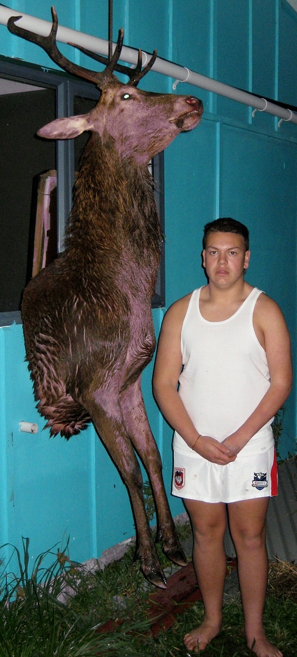 Name:  virgilandstag.jpg
Views: 286
Size:  508.2 KB