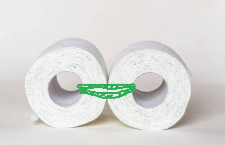 Name:  108819816-two-rolls-of-toilet-paper.jpg
Views: 361
Size:  19.0 KB