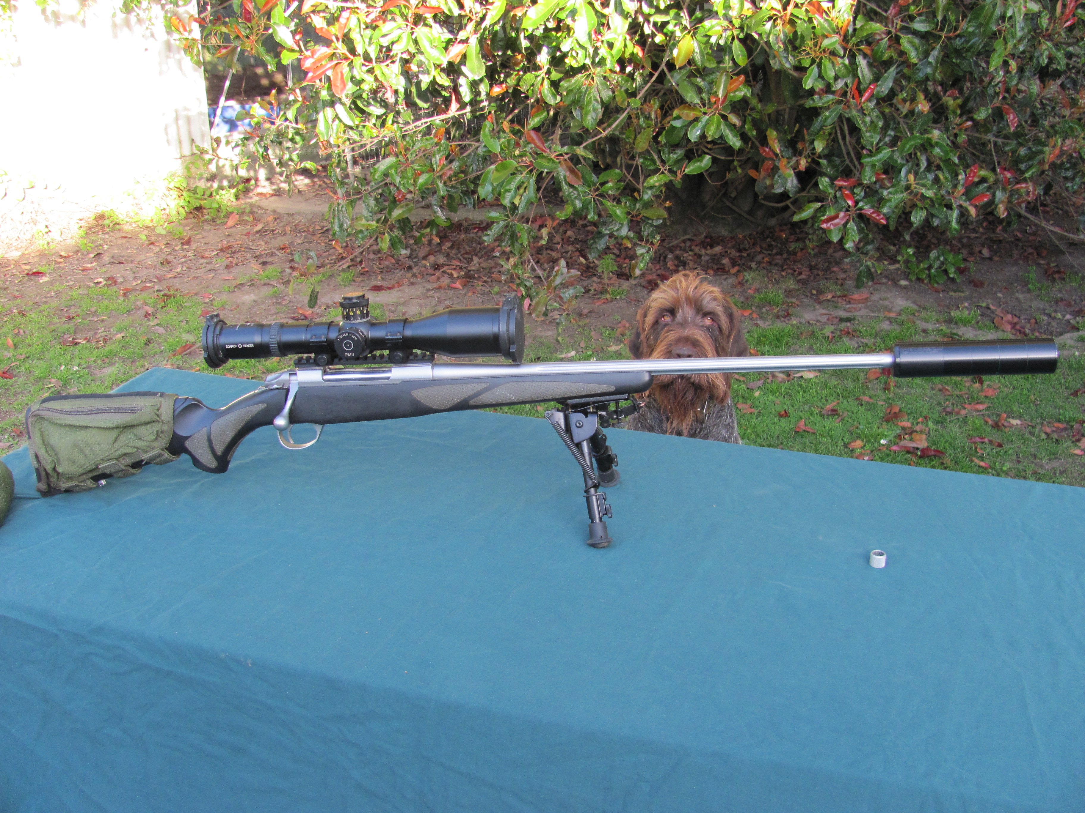 Name:  IMG_0307.JPG
Views: 716
Size:  2.58 MB