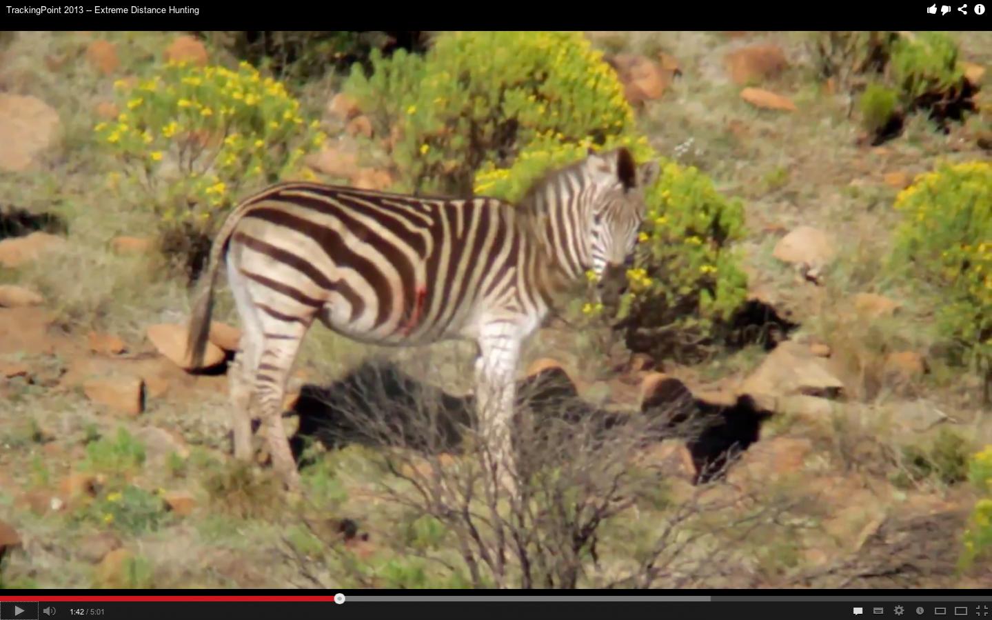 Name:  Screen Shot 2013-06-08 at 6.41.29 PM.jpg
Views: 293
Size:  133.8 KB