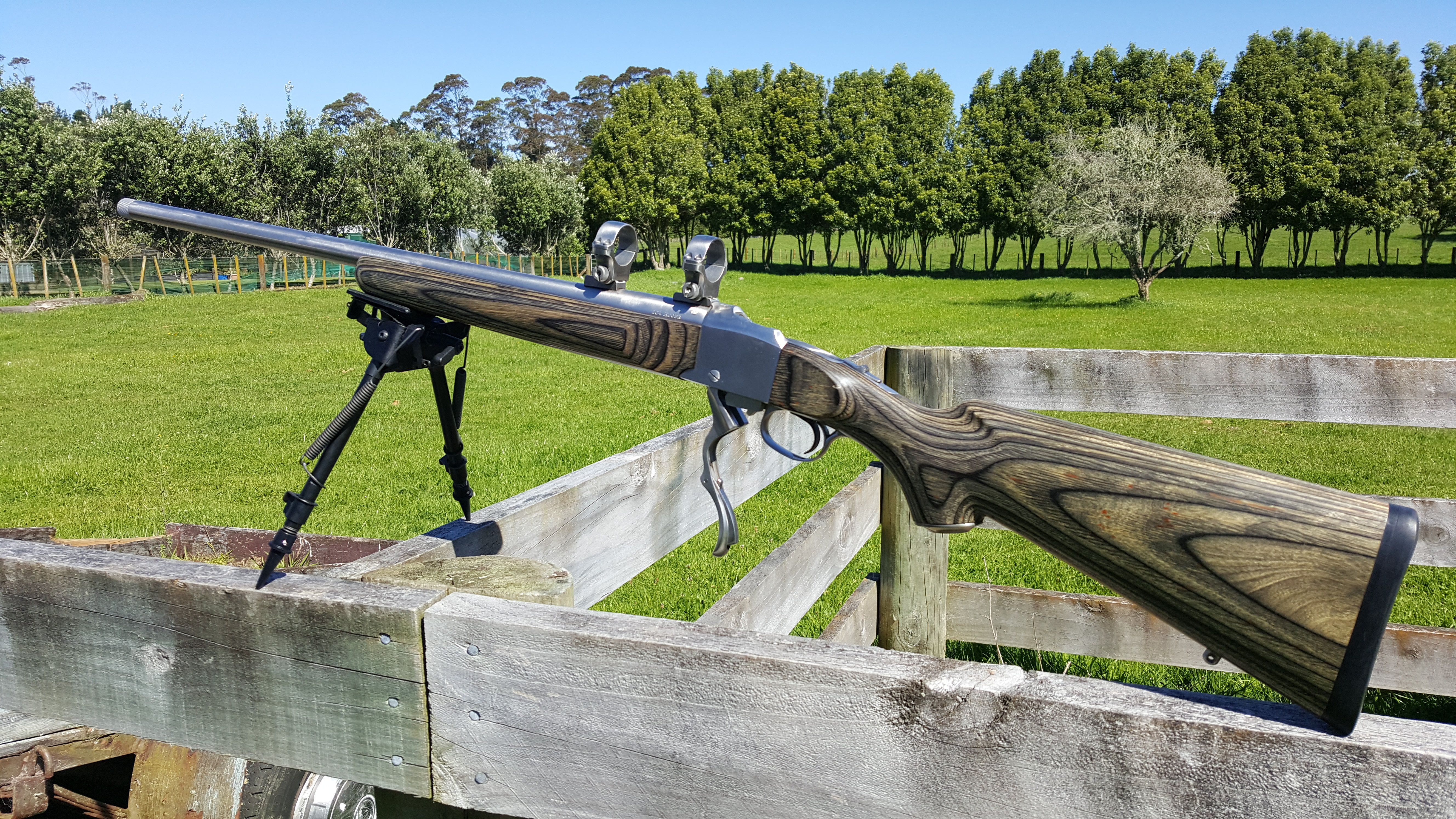 Name:  Ruger No.1 .204 SS Laminate Stock  L.jpg
Views: 997
Size:  6.82 MB