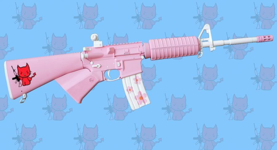 Name:  KittyRifle.jpg
Views: 1322
Size:  36.7 KB