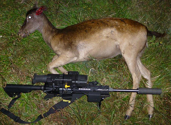 Name:  digisight-deer.jpg
Views: 785
Size:  268.1 KB