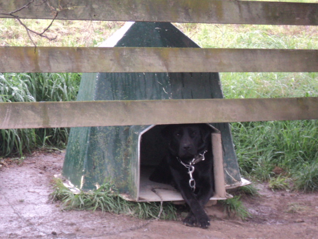 Name:  picture 01 3982.jpg
Views: 371
Size:  164.3 KB