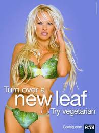 Name:  images.jpg
Views: 1245
Size:  8.8 KB