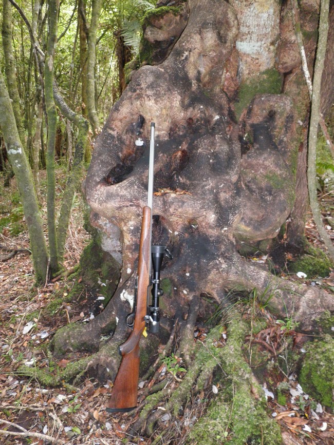 Name:  Ruger.JPG
Views: 459
Size:  227.0 KB