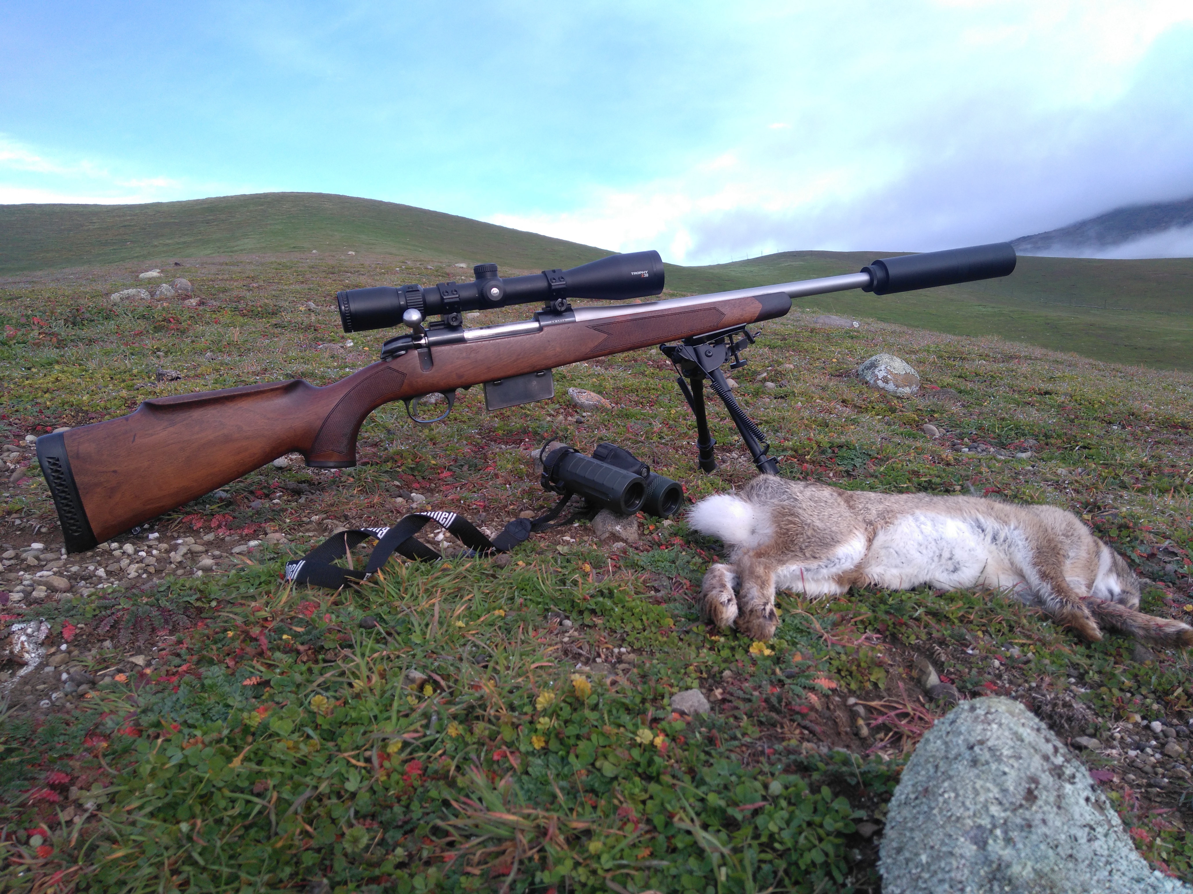 Name:  BSA first rabbit.JPG
Views: 673
Size:  5.47 MB