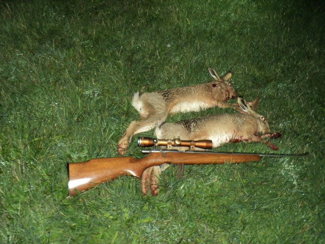Name:  picture 01 860.jpg
Views: 500
Size:  164.1 KB