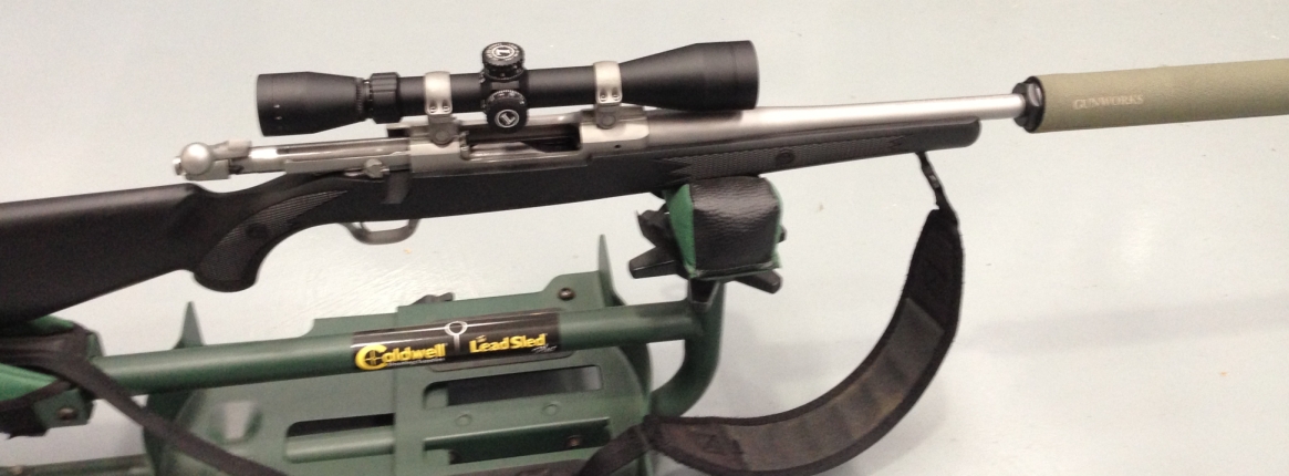 Name:  Ruger3.JPG
Views: 1173
Size:  300.9 KB