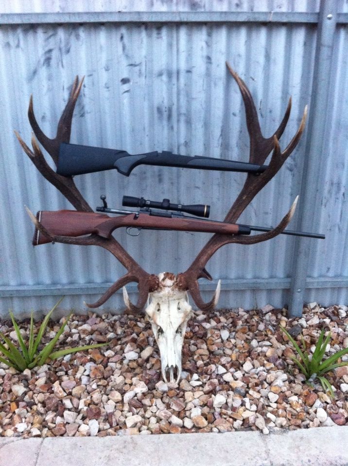 Name:  Remington Model 700.jpg
Views: 664
Size:  137.6 KB