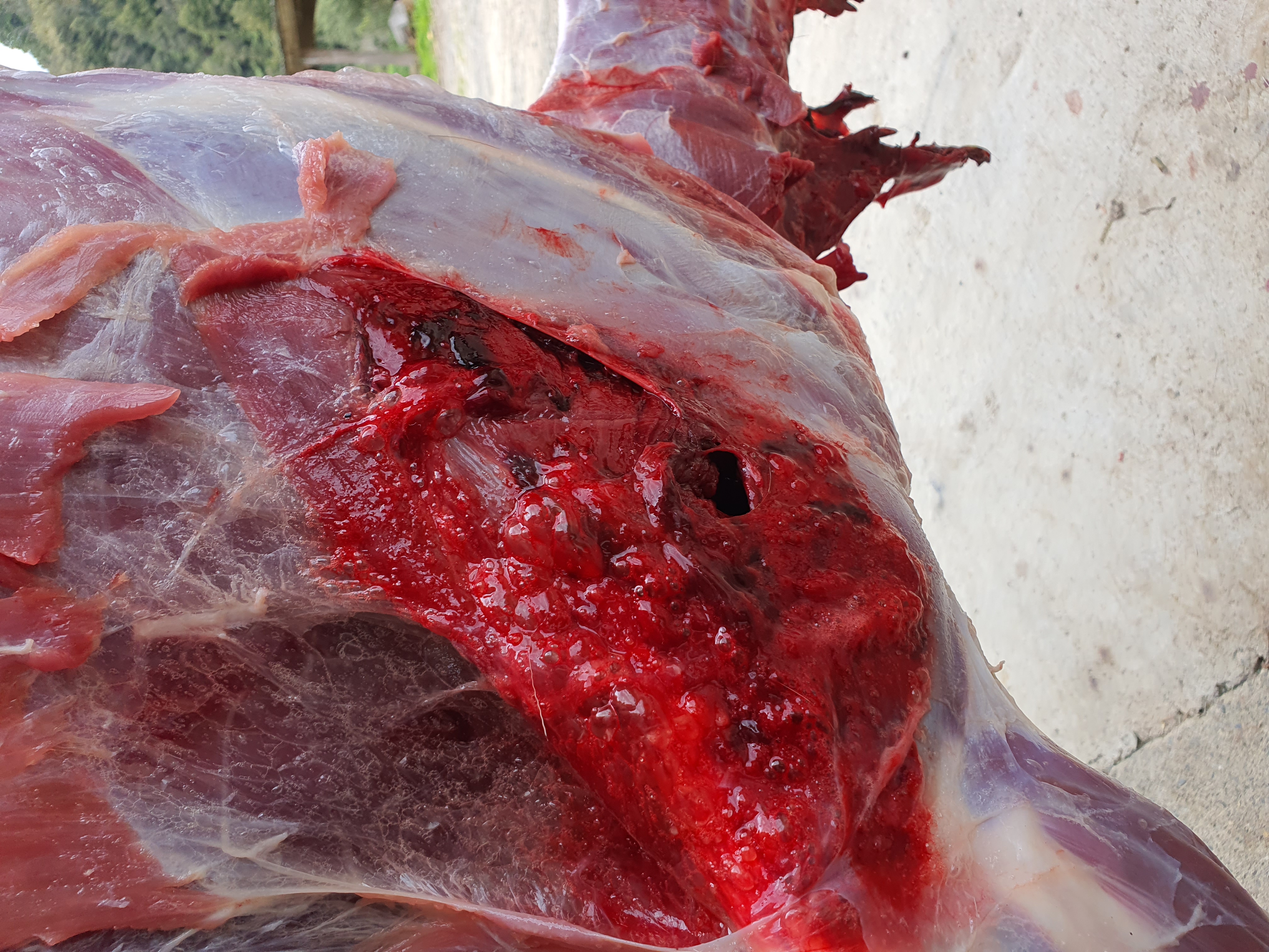 Name:  20201123_174154.jpg
Views: 1296
Size:  3.51 MB