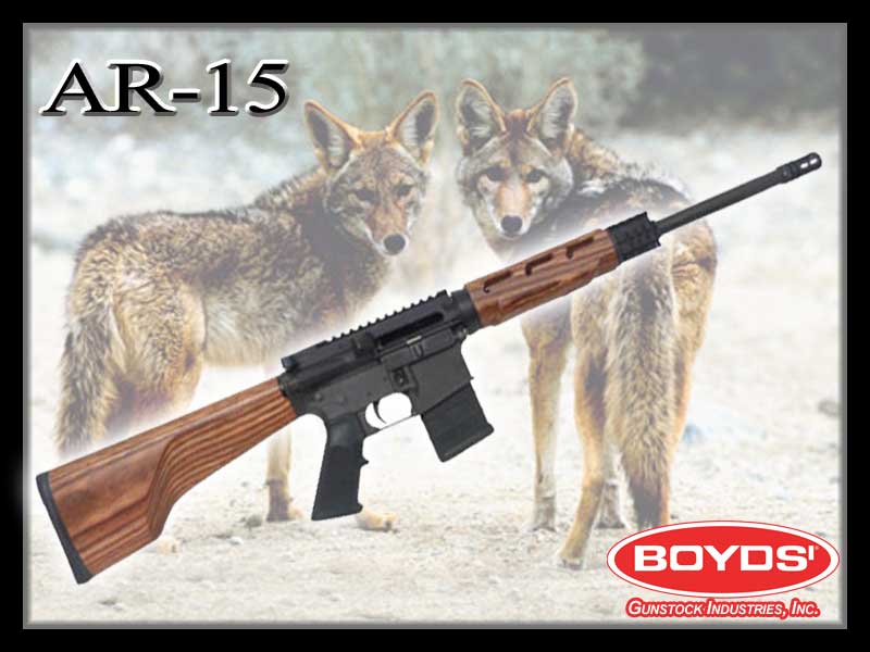 Name:  AR-15.jpg
Views: 666
Size:  46.9 KB